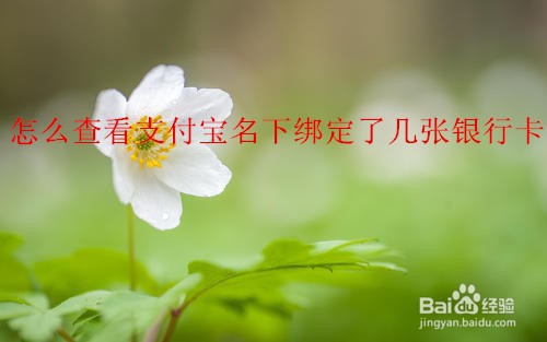 <b>怎么查看支付宝名下绑定银行卡详情</b>