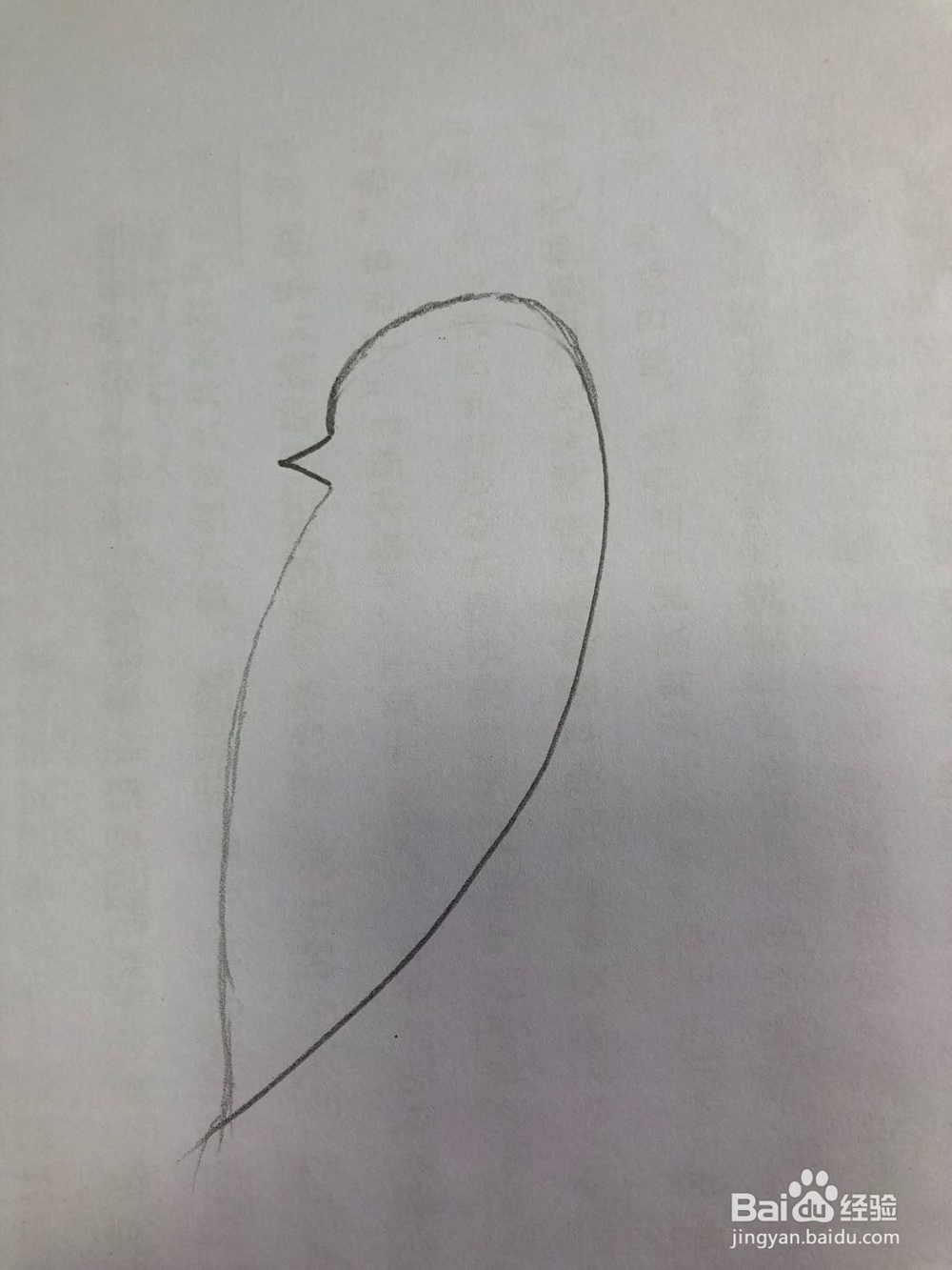 怎样画简易版的麻雀？