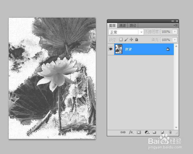 如何利用Photoshop制作水墨荷花