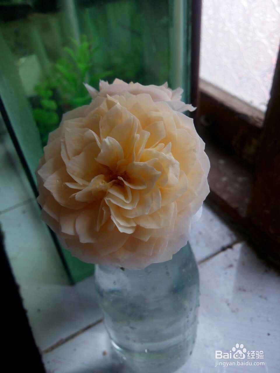 如何设计有创意的教师节短信