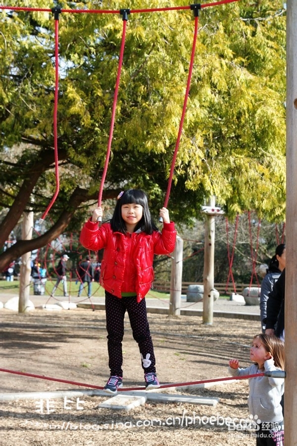 温哥华百万木头公园