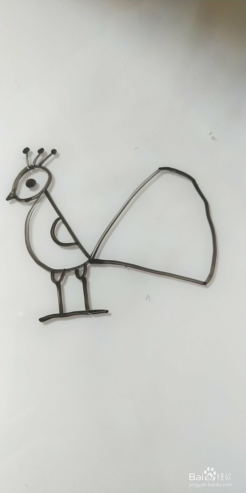 怎么画简笔画孔雀？