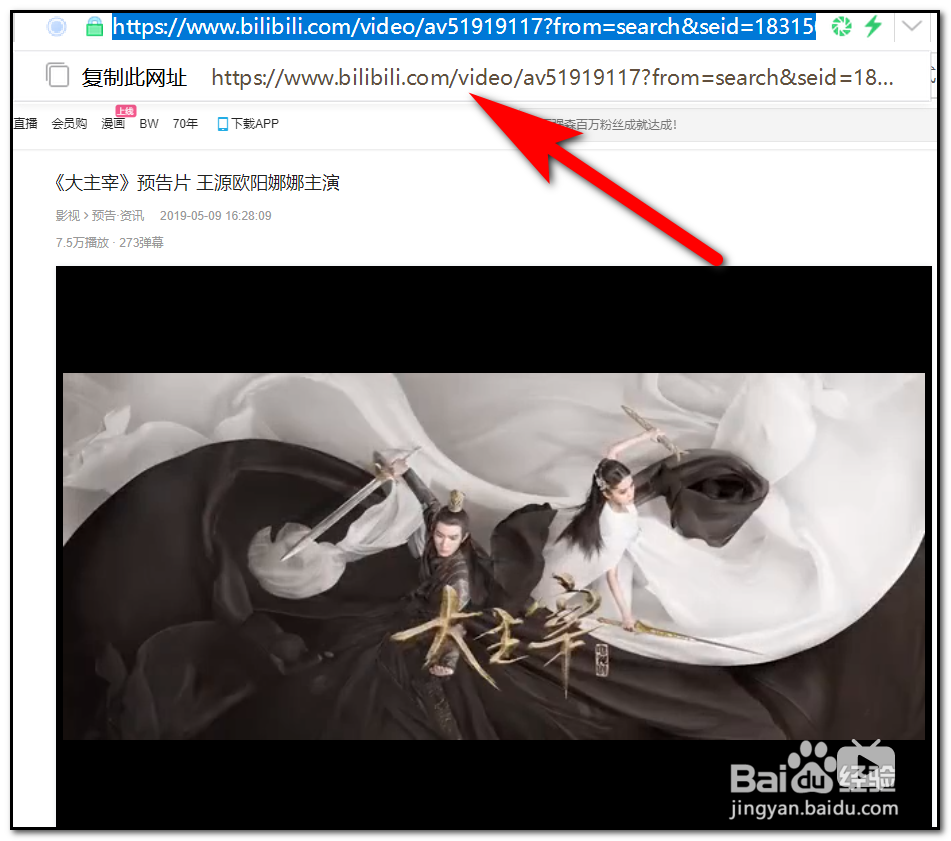 如何在电脑上下载哔哩哔哩的视频