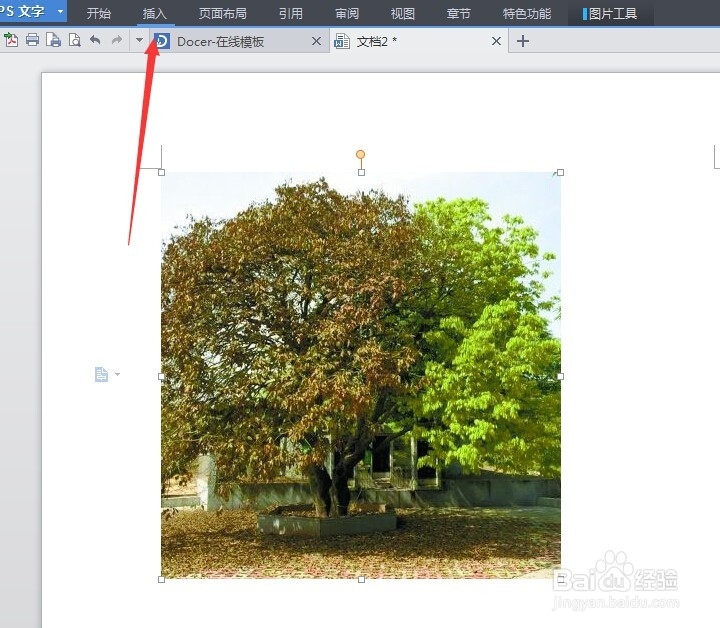 怎么让wps文档中的背景图片可以打印