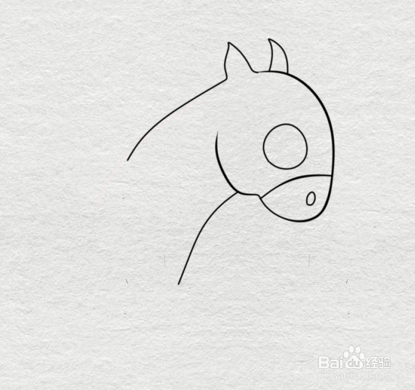 简笔画--卡通版斑马的画法