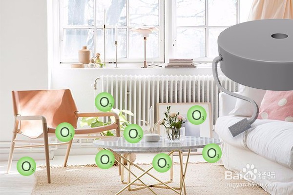 除甲醛新方法，买房装修朋友的福音