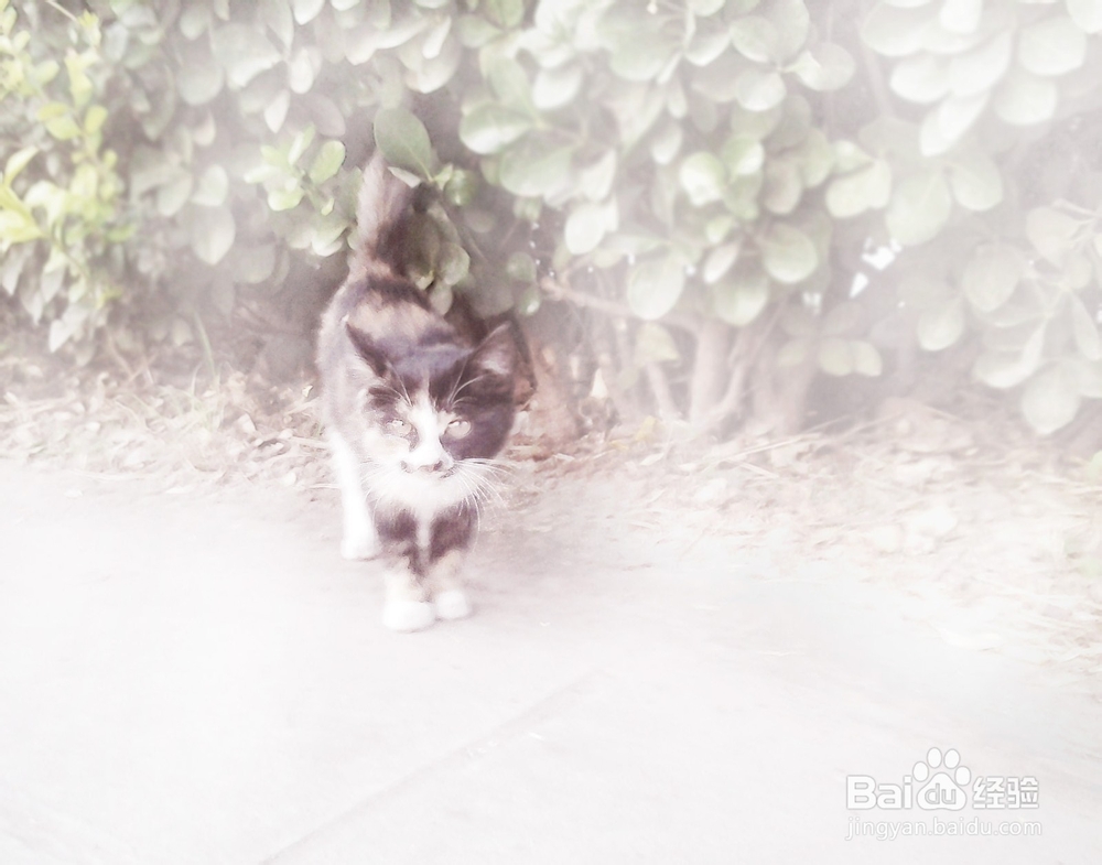 小学生如何写好作文