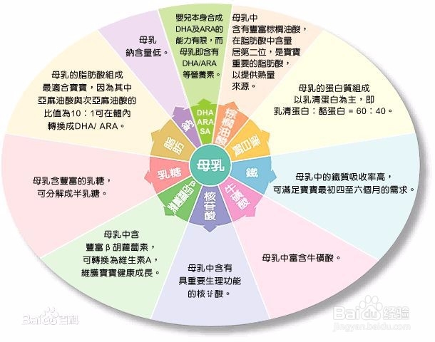 减脂期怎样保住肌肉