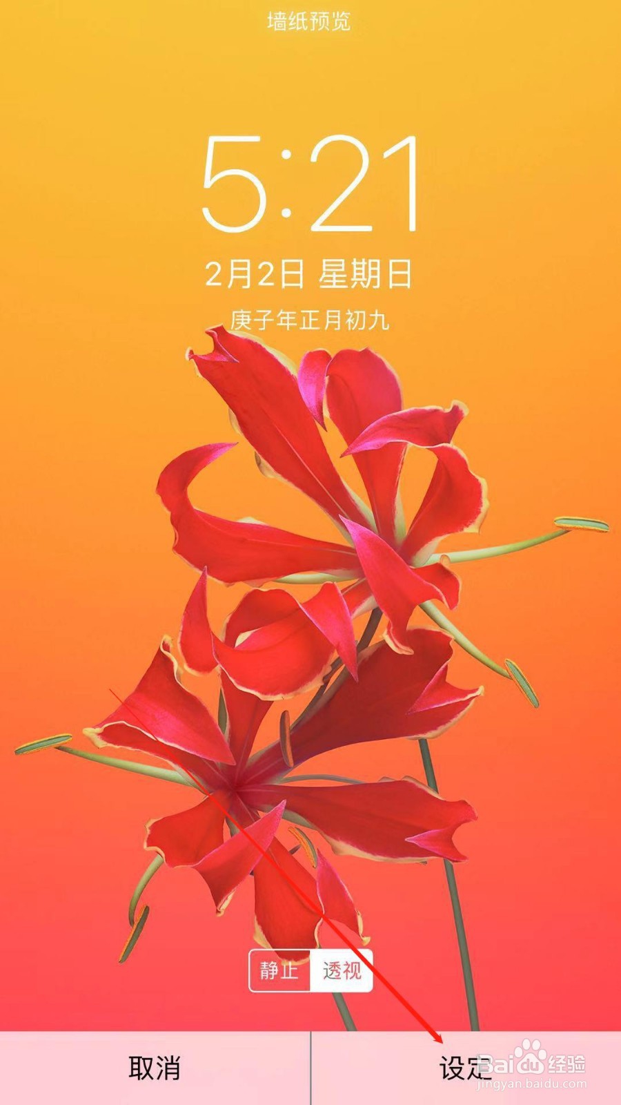 苹果手机怎么更换墙纸