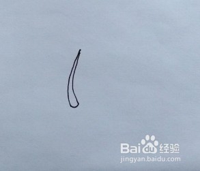 菠菜怎么画？