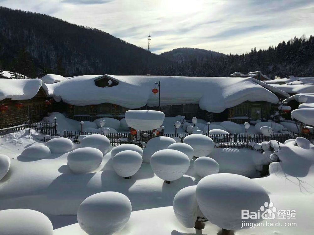 雪景的美丽和魅力