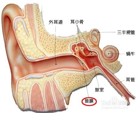 鼓膜穿孔的患者如何在日常生活中进行保护