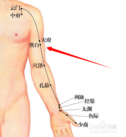 侠白穴穴位位置图及作用