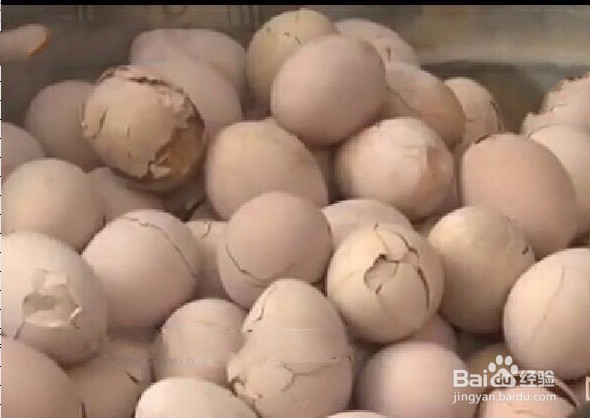 童子蛋的做法
