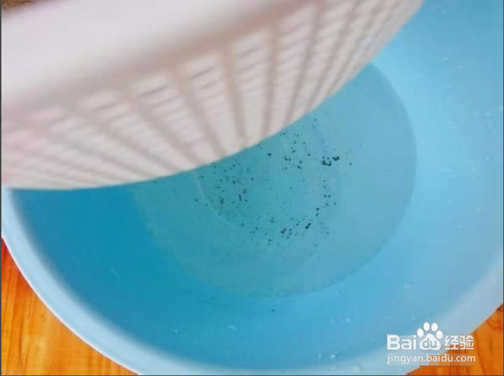 花蛤怎么去沙彻底