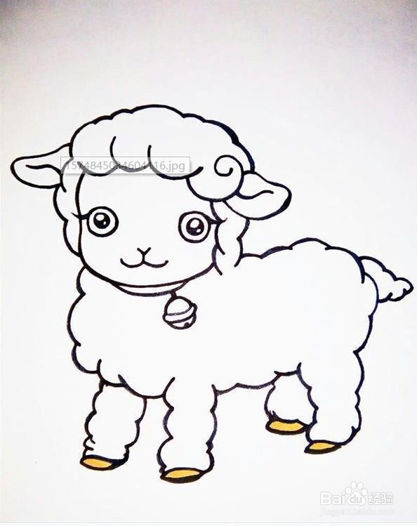 羊简笔画儿童画 小羊图片