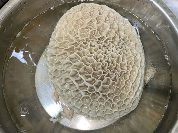 秘制萝卜焖牛腩