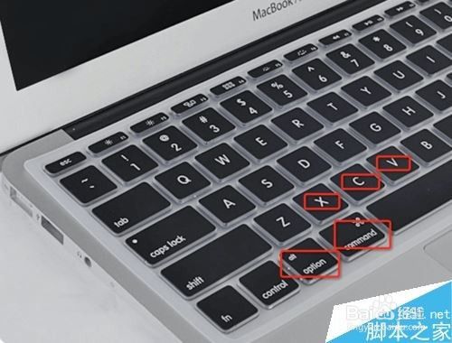 苹果MAC系统复制黏贴快捷键是什么？