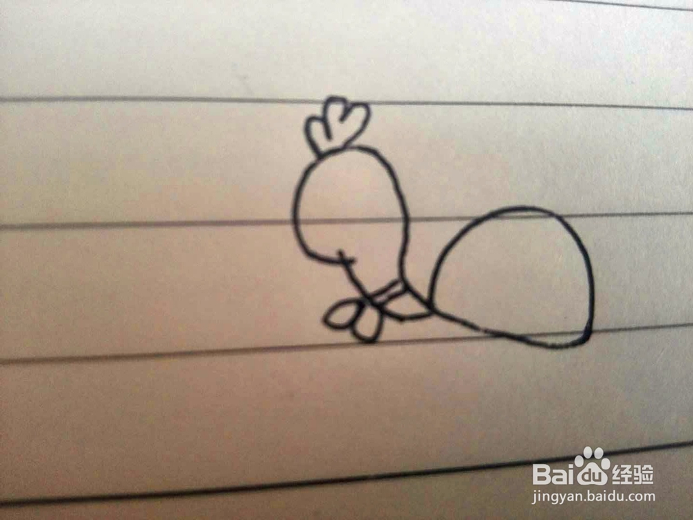 一只爬行的小乌龟简笔画