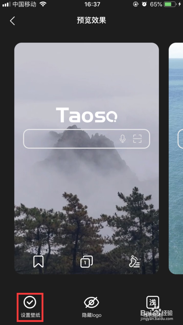 淘搜浏览器如何设置背景