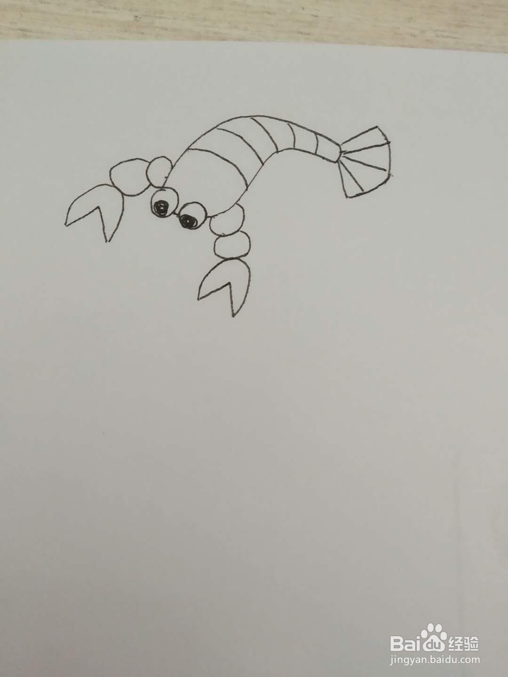 怎么画一只小龙虾