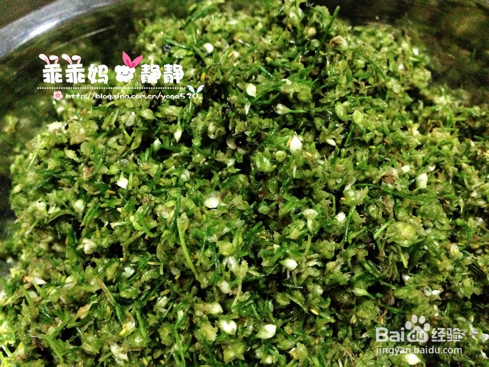 【乖乖妈厨房】自制下饭小菜--韭菜花