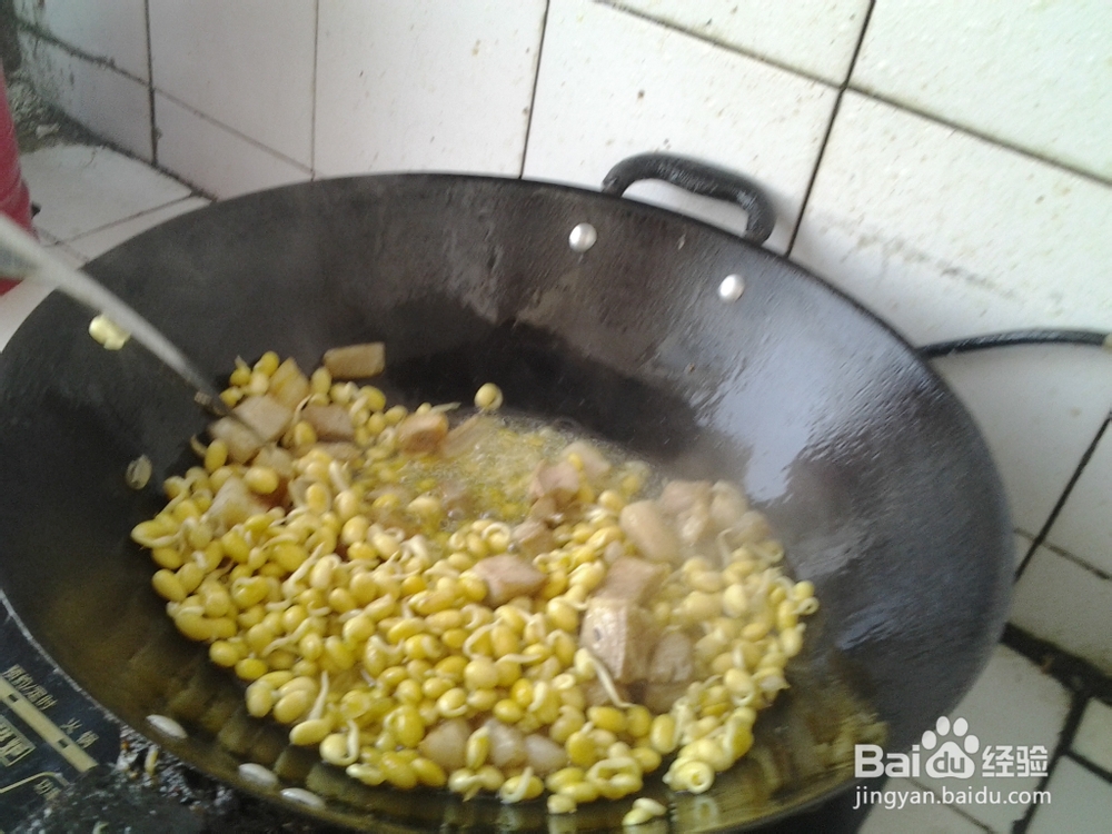 肉炒黄豆芽尖椒