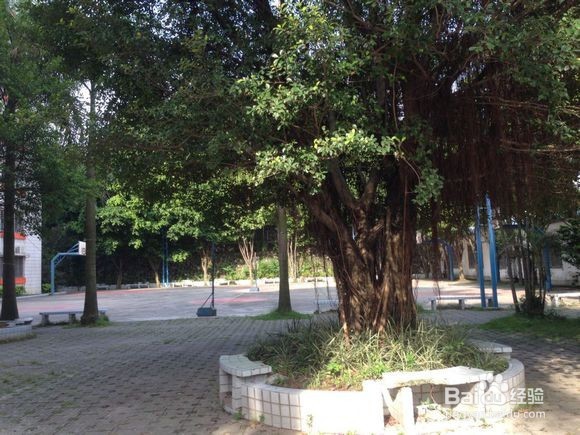 南华工商学院黄埔校区校园图片全攻略