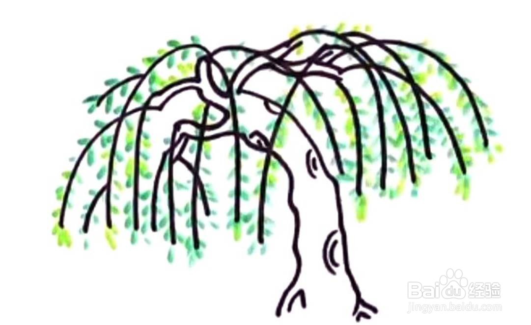 杨柳树的儿童卡通简笔画教程