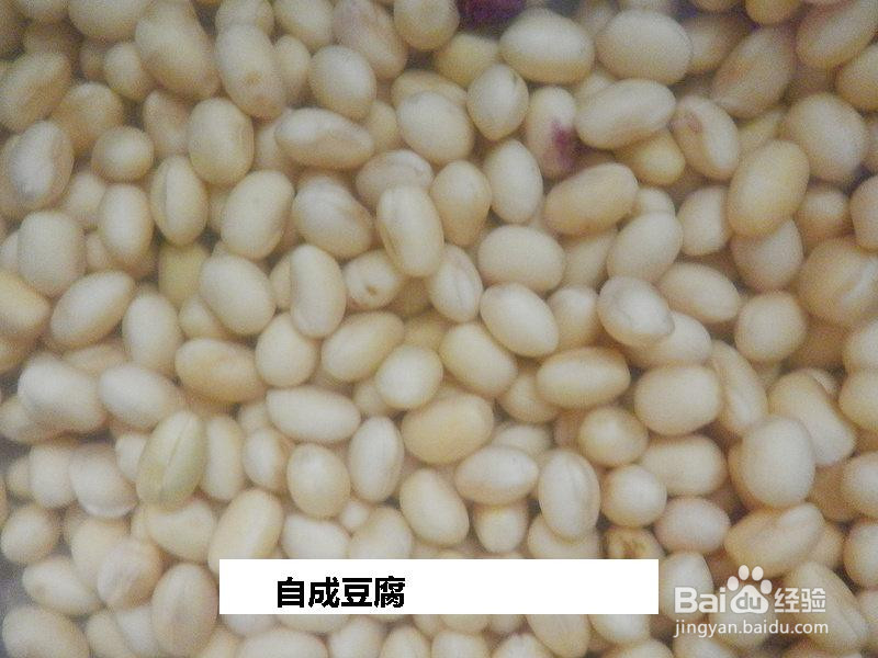 自成豆腐的做法