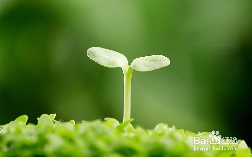 如何用Photoshop去掉图片不要的内容?