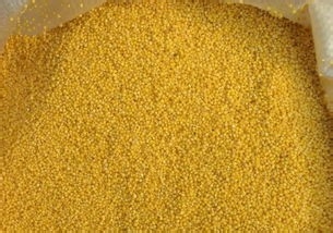 真假新米的区分