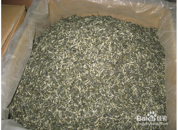 怎样识别毛尖茶真假