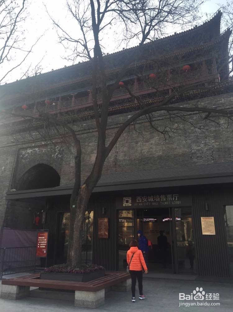 西安七日游应该怎样规划 去哪些地方