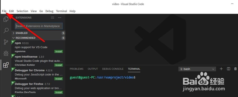 ubuntu vscode字体设置