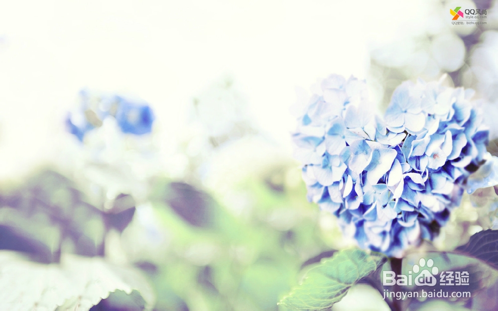 如何做好上课的完整笔记