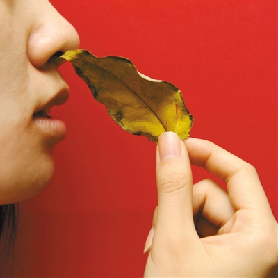 怎样做好鼻炎的日常保健