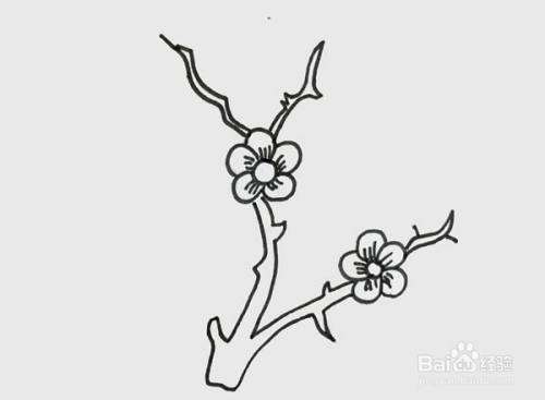 腊梅花怎么画好看