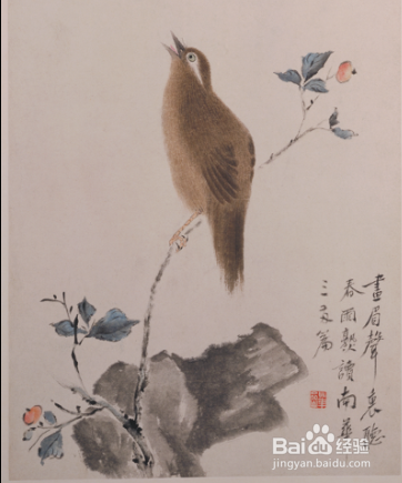 在哪里可以查看华喦花鸟册