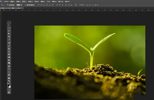 photoshop7.0羽化效果使用方法