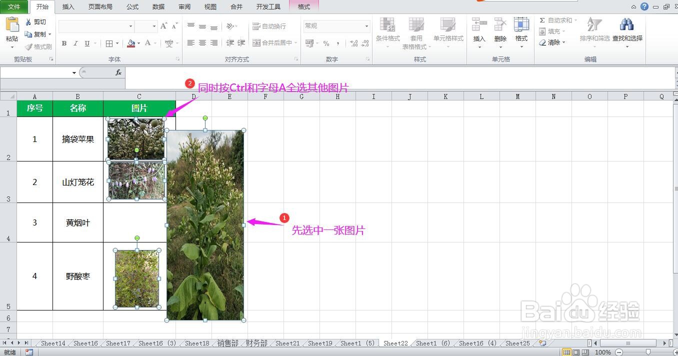 Excel表格中调整图片大小时变形了怎么办