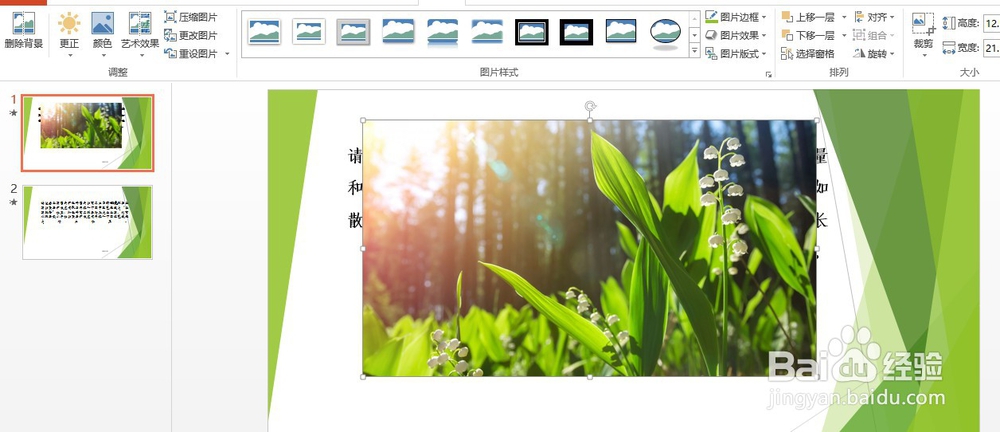 PPT里将图片置于文字底层方法(二)
