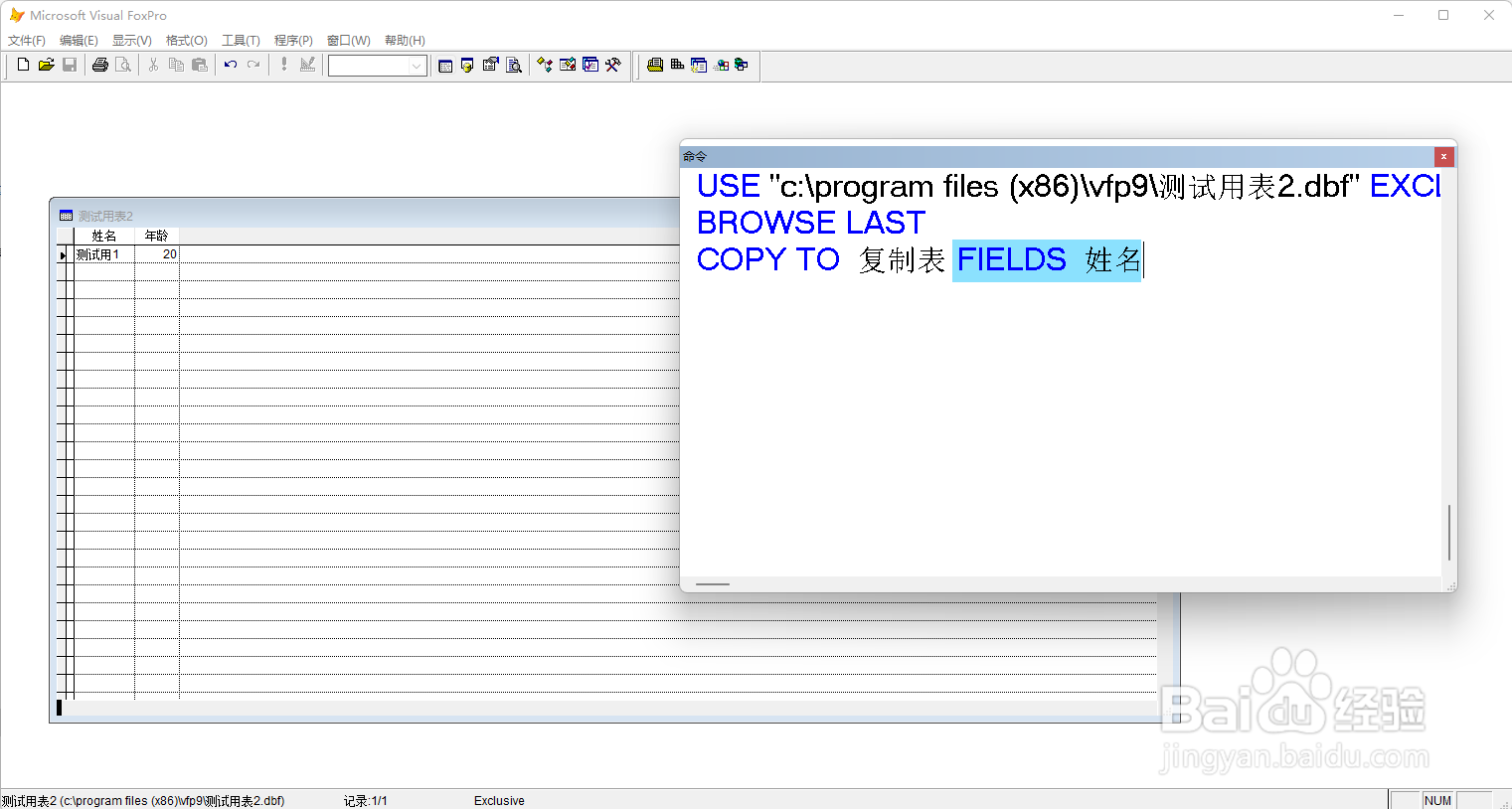 VF9.0复制表命令