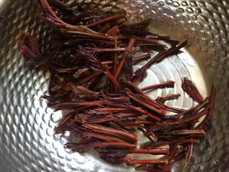 香椿干贝炒饭,赶紧学起来吧!