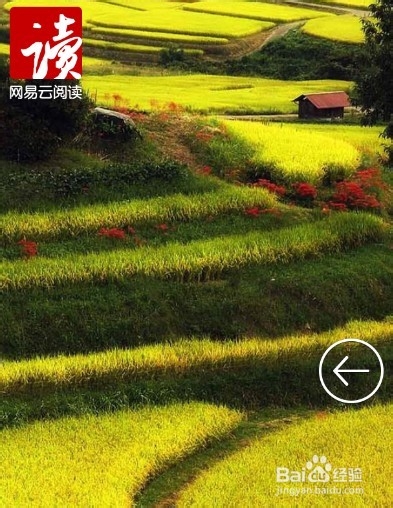 手机党福利系列：[3]轻松阅读高价值杂志