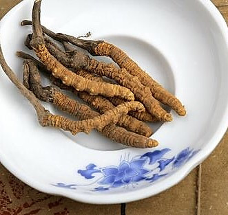 虫草排骨乌鸡汤