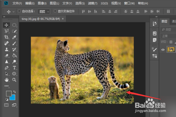 怎样在ps中把图片变成线描的?