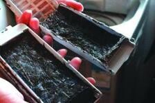 手机在洗衣机里洗了怎么办