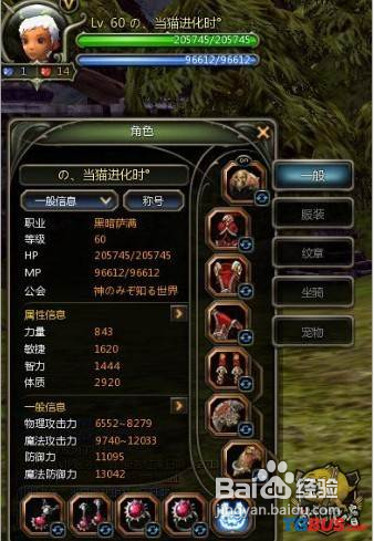 龙之谷舞娘黑暗萨满加点
