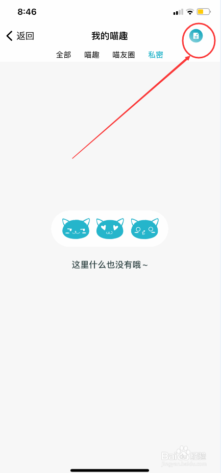随猫树洞怎么发布喵趣